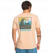eqyzt07258_quiksilver_tjb0_bck1