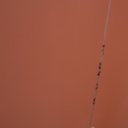 DSC00799