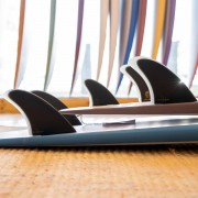 christenson twin+1-2