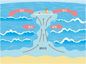 messageImage_1770005013174